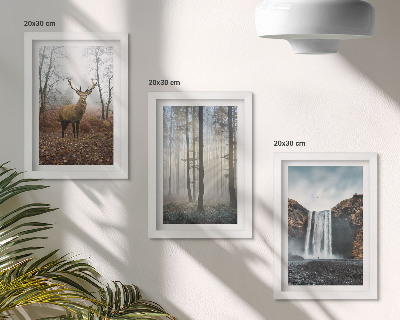 Juego de 3 cuadros decorativos paisajes forestales naturaleza salvaje ciervos