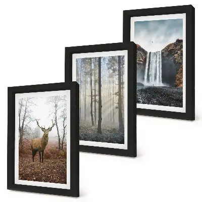Juego de 3 cuadros decorativos con paisajes de naturaleza salvaje y ciervos en el bosque