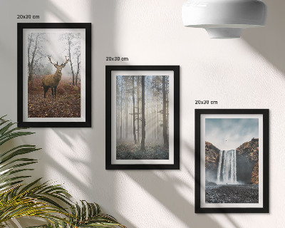 Juego de 3 cuadros decorativos paisajes forestales naturaleza salvaje ciervos