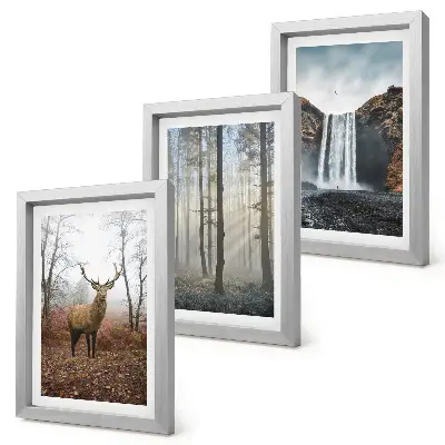 Juego de 3 cuadros decorativos con paisajes de naturaleza salvaje y ciervos en el bosque