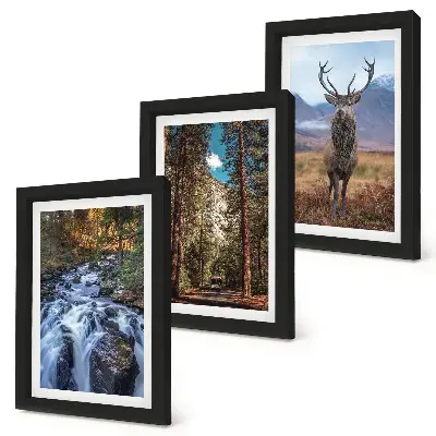 Juego de 3 cuadros decorativos de cascada en el bosque con montañas y ciervos