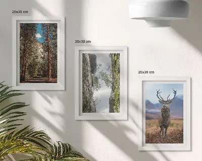 Tríptico enmarcado camino en el bosque con montañas y ciervos en la naturaleza