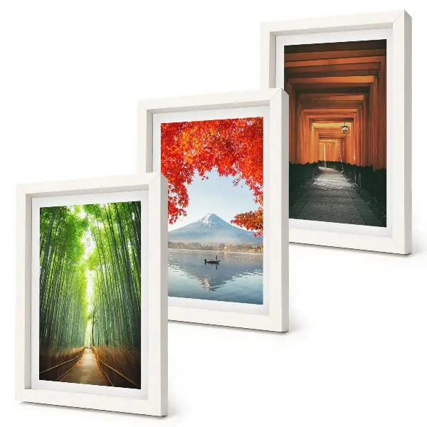 Juego de 3 cuadros decorativos con diseño de bosque de bambú y sendero torii del Monte Fuji en paisajes de Japón