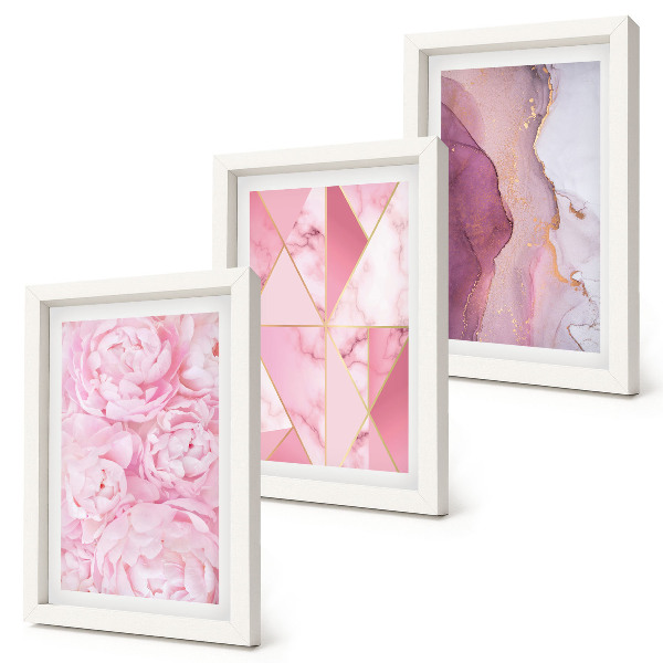 Juego de 3 cuadros decorativos Peonías rosas con estampados geométricos