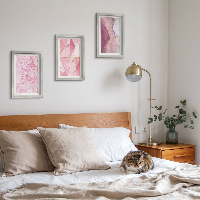 Juego de 3 cuadros decorativos Peonías rosas con estampados geométricos