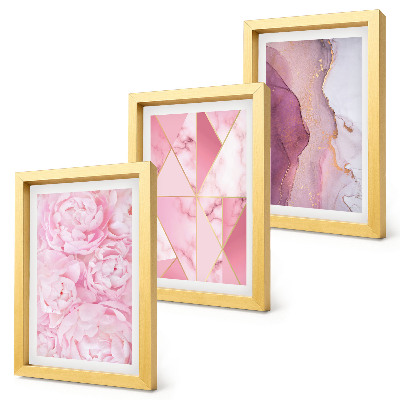 Juego de 3 cuadros decorativos Peonías rosas con estampados geométricos
