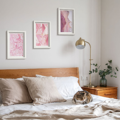 Juego de 3 cuadros decorativos Peonías rosas con estampados geométricos