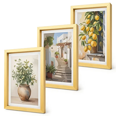 Juego de 3 cuadros decorativos con diseño de plantas en macetas y limones sobre fondo de calle