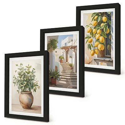 Juego de 3 cuadros decorativos con diseño de plantas en macetas y limones sobre fondo de calle
