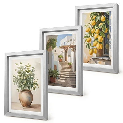 Juego de 3 cuadros decorativos con diseño de plantas en macetas y limones sobre fondo de calle