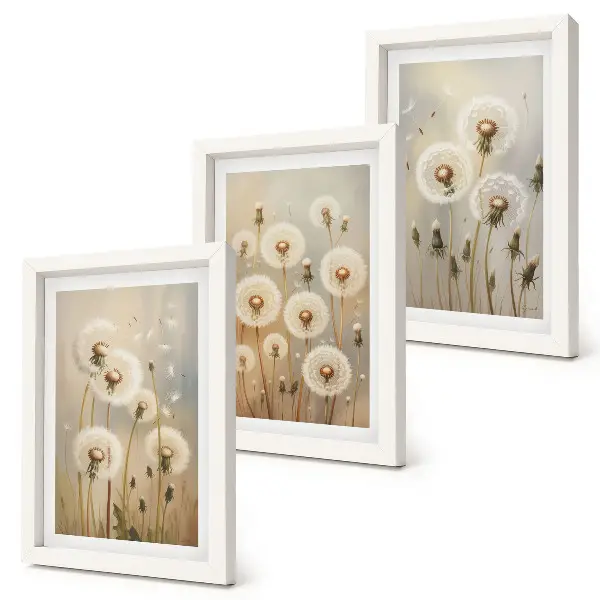 Juego de 3 cuadros decorativos con diseño de dientes de león blancos sobre fondo de colores brillantes