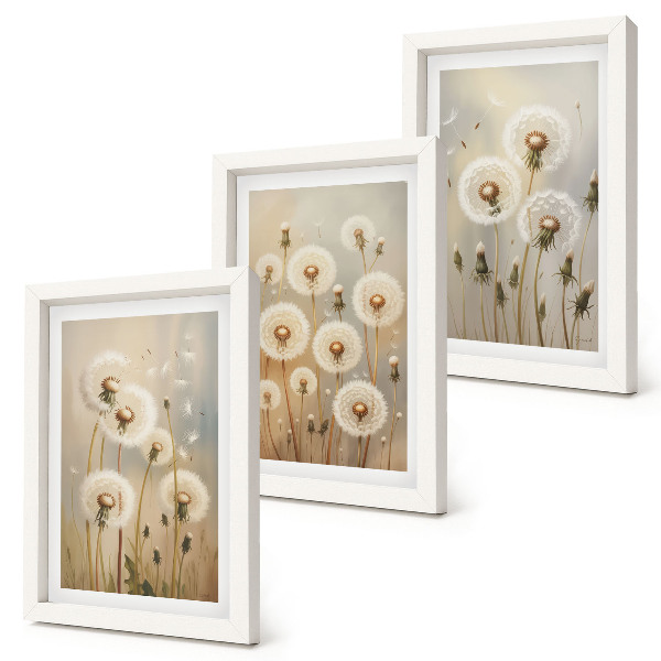 Juego de 3 cuadros decorativos Dientes de león blancos sobre un fondo de colores brillantes.