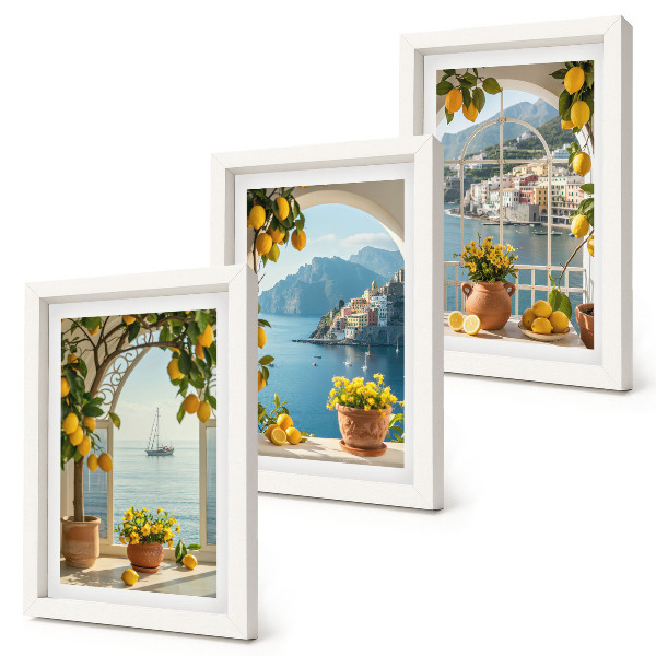 Juego de 3 cuadros decorativos Limones y flores en macetas en un pueblo costero.