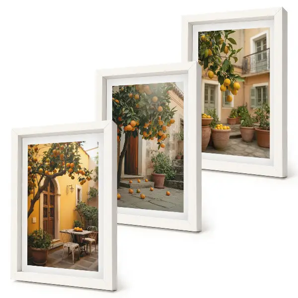 Juego de 3 cuadros decorativos con diseño de jardín y árboles cítricos en entorno soleado