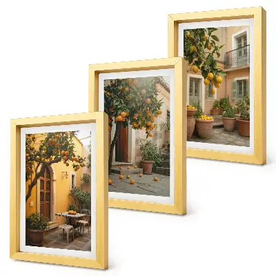 Juego de 3 cuadros decorativos con diseño de jardín y árboles cítricos en entorno soleado