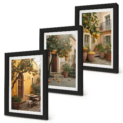 Juego de 3 cuadros decorativos con diseño de jardín y árboles cítricos en entorno soleado