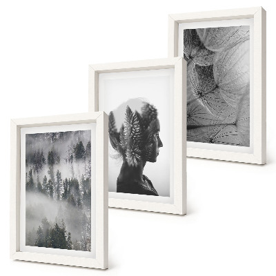 Juego de 3 cuadros decorativos Retrato de bosque en la niebla con árboles delicados de diente de león