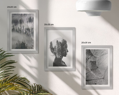 Juego de 3 cuadros decorativos Retrato de bosque en la niebla con árboles delicados de diente de león