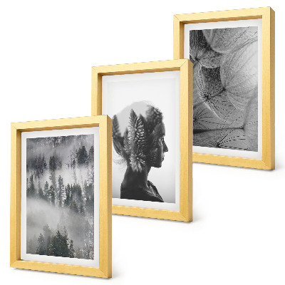 Juego de 3 cuadros decorativos Retrato de bosque en la niebla con árboles delicados de diente de león