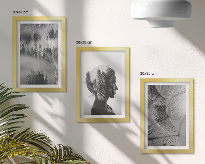 Juego de 3 cuadros decorativos Retrato de bosque en la niebla con árboles delicados de diente de león