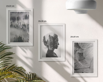 Juego de 3 cuadros decorativos Retrato de bosque en la niebla con árboles delicados de diente de león