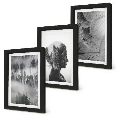 Juego de 3 cuadros decorativos Retrato de bosque en la niebla con árboles delicados de diente de león