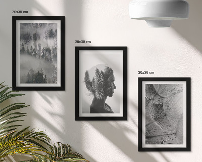 Juego de 3 cuadros decorativos Retrato de bosque en la niebla con árboles delicados de diente de león