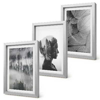 Juego de 3 cuadros decorativos Retrato de bosque en la niebla con árboles delicados de diente de león