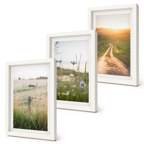 Juego de 3 cuadros decorativos con paisajes naturales de campos y un sendero al sol