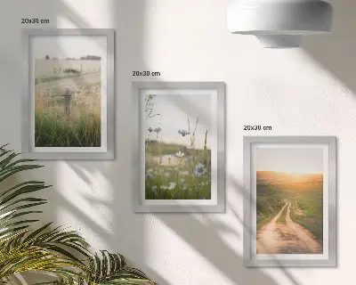 Juego de 3 cuadros decorativos con paisajes naturales de campos y un sendero al sol
