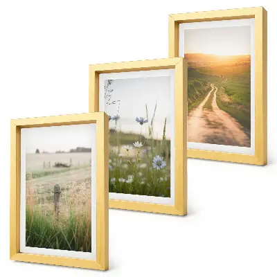 Juego de 3 cuadros decorativos con paisajes naturales de campos y un sendero al sol