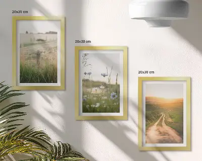 Juego de 3 cuadros decorativos con paisajes naturales de campos y un sendero al sol