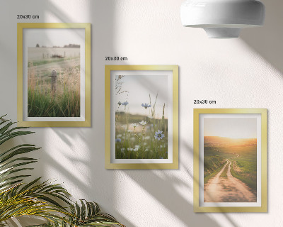 Juego de 3 cuadros decorativos Paisajes naturales con campos y un sendero al sol.
