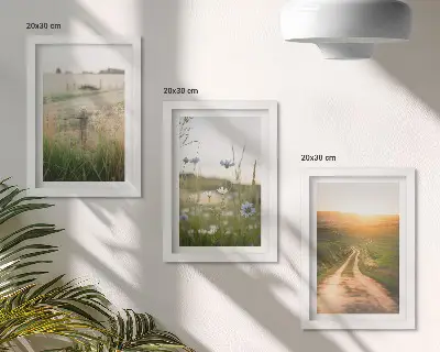 Juego de 3 cuadros decorativos con paisajes naturales de campos y un sendero al sol