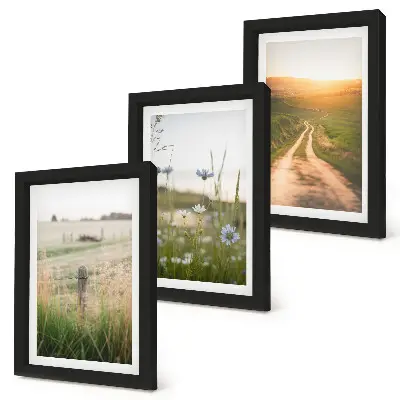 Juego de 3 cuadros decorativos con paisajes naturales de campos y un sendero al sol