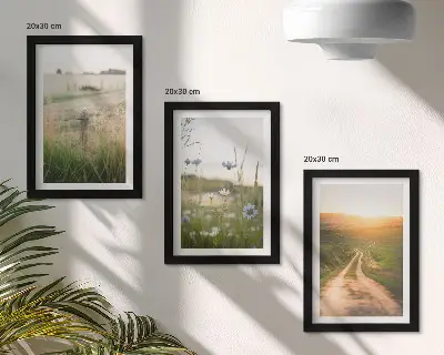 Juego de 3 cuadros decorativos con paisajes naturales de campos y un sendero al sol