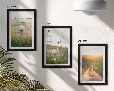 Juego de 3 cuadros decorativos Paisajes naturales con campos y un sendero al sol.