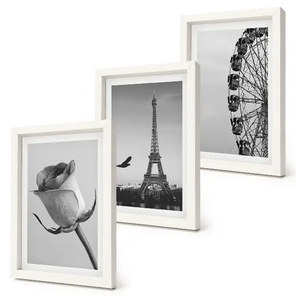 Tríptico enmarcado de la Torre Eiffel rosa y noria en monocromo