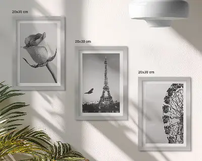 Tríptico enmarcado de la Torre Eiffel rosa y noria en monocromo