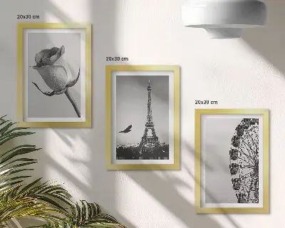 Tríptico enmarcado de la Torre Eiffel rosa y noria en monocromo