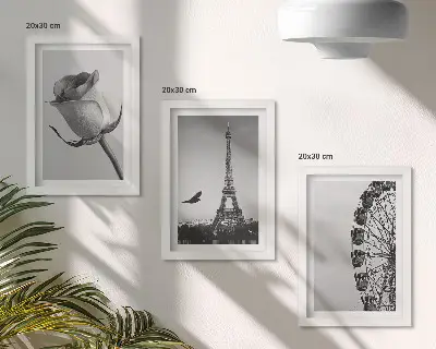 Tríptico enmarcado de la Torre Eiffel rosa y noria en monocromo