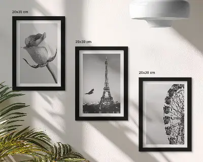 Tríptico enmarcado de la Torre Eiffel rosa y noria en monocromo