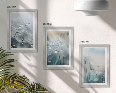 Juego de 3 cuadros decorativos Gotas de rocío sobre delicados dientes de león