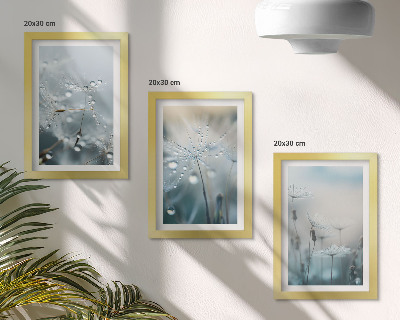 Juego de 3 cuadros decorativos Gotas de rocío sobre delicados dientes de león