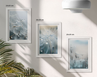 Juego de 3 cuadros decorativos Gotas de rocío sobre delicados dientes de león