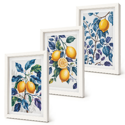 Juego de 3 cuadros decorativos Limones en ramas con hojas azules