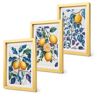 Juego de 3 cuadros decorativos Limones en ramas con hojas azules