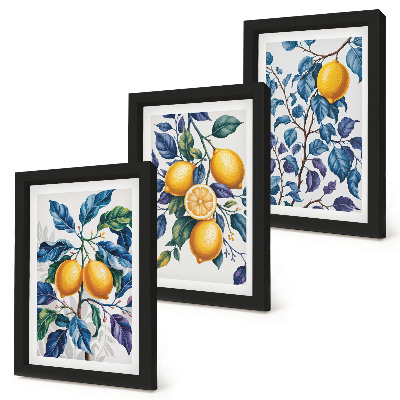 Juego de 3 cuadros decorativos Limones en ramas con hojas azules