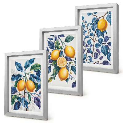 Juego de 3 cuadros decorativos Limones en ramas con hojas azules