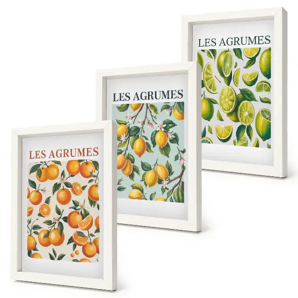 Juego de 3 cuadros decorativos con diseños de frutas cítricas en tonos pastel